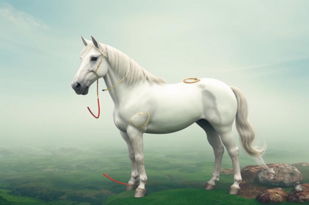 «Что ты пасёшься над телом моим, Белая Лошадь?..»