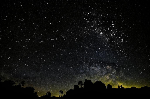 Звезды («Расплакались звезды бельгийские…»)