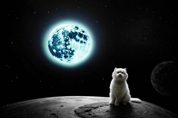 Трое («В небеса…»)