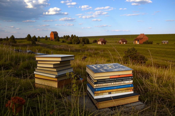 «Книги степей горькотравных...»