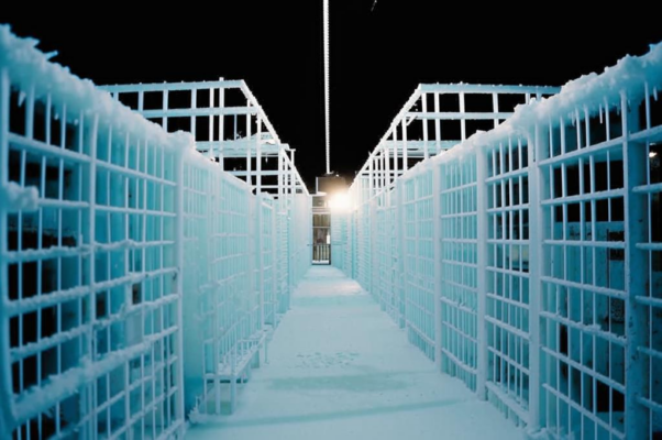 «О лед, всемирный лед, тюрьма...»