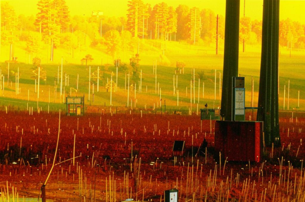 «Осень, осень...»