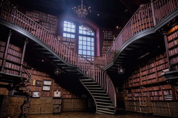 Башня-библиотека