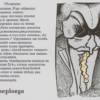 Элегия («В болезни страждешь ты…  В моем нет сердце моч…»)