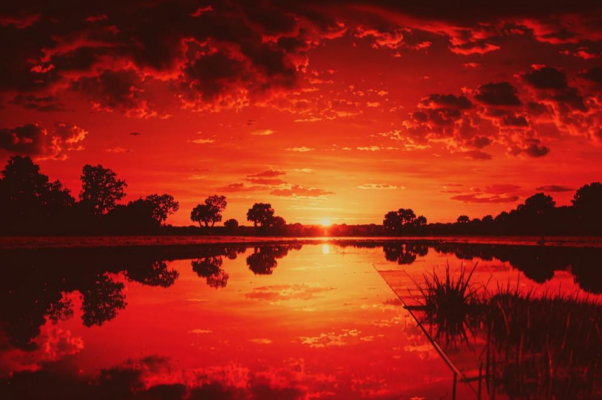 «Солнце утомилось...»