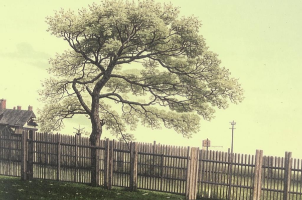 Рябина (« «Что шумишь, качаясь…»)