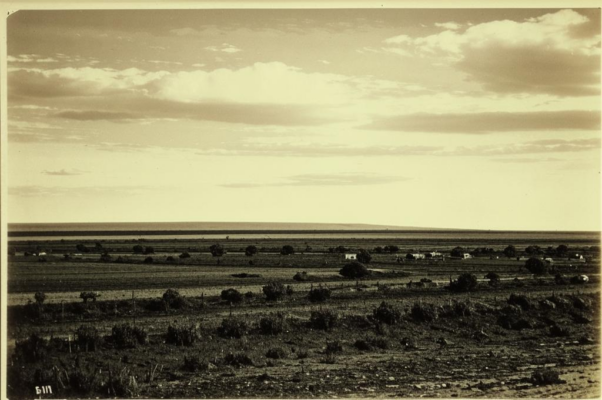 Степь («Степь, всё степь, как море…»)