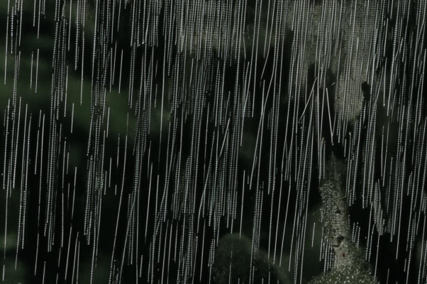 «Третьи сутки дождь идет...»