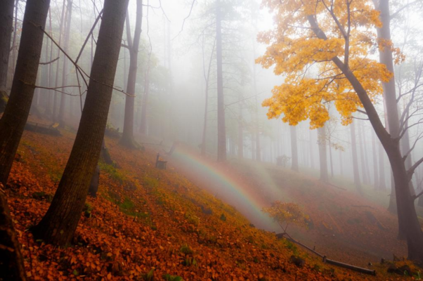 «В последний месяц осени...»