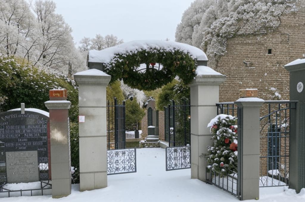 «Венков еловых птичьи лапки...»