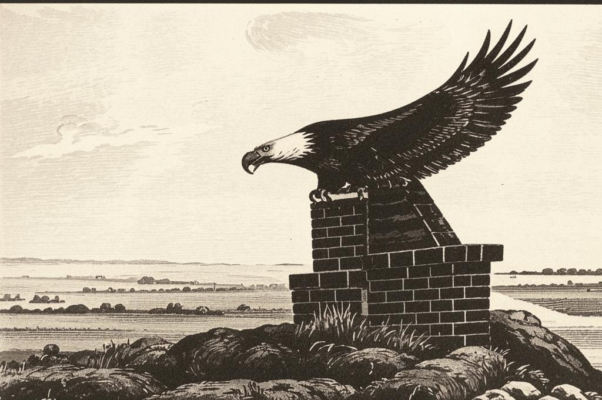 «На черной трубе погорелого дома...»