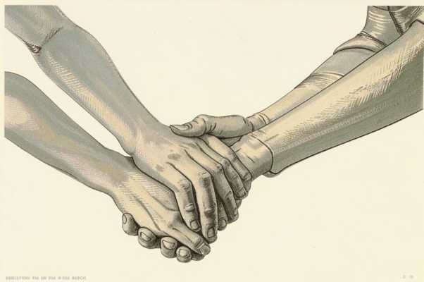 «В дружбе есть святая проба...»