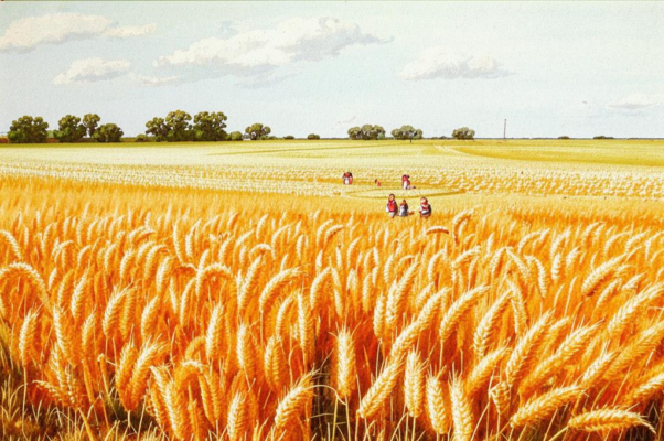 «А ты самих послушай хлеборобов...»