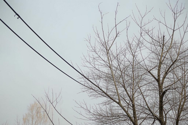 По дороге на Берлин