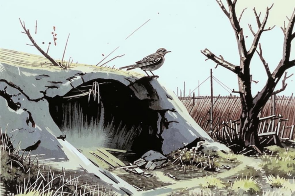 Стихотворение неизвестного бойца