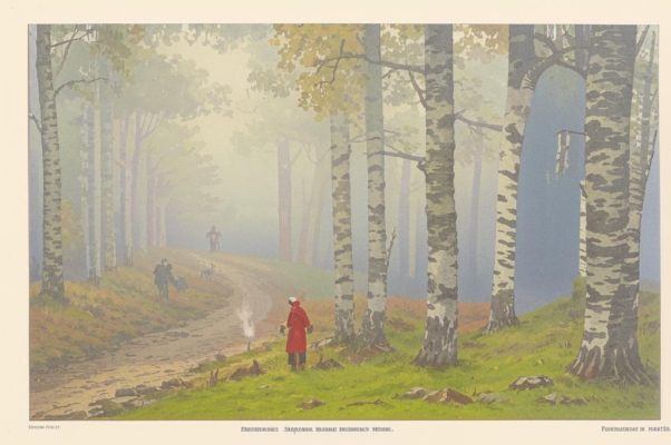 Березы осенью