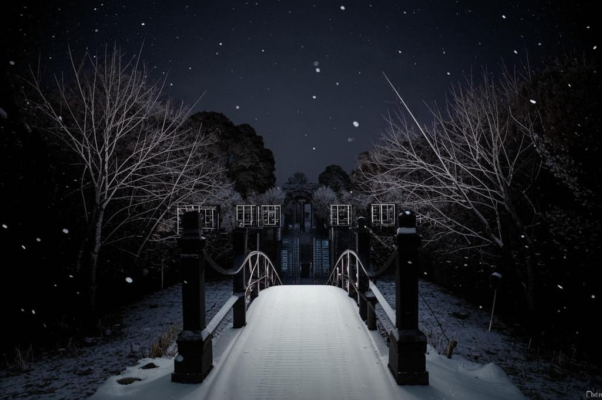 «Не люблю я светлых песен...»