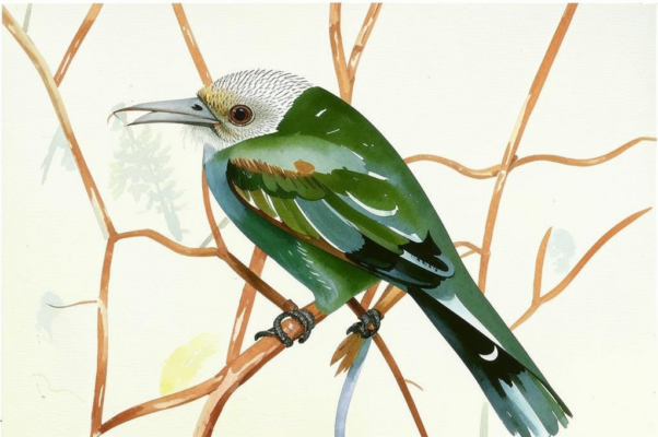 В Австралии