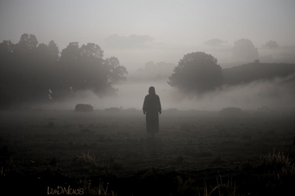Вечером («Подползает вечер мороком…»)