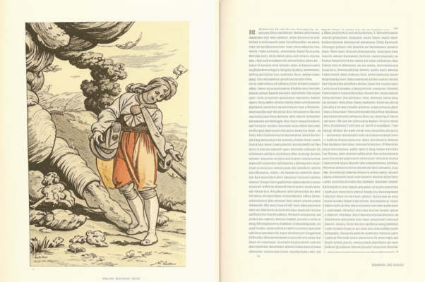 Человечество