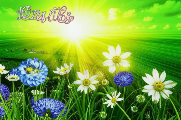 Вздох весны