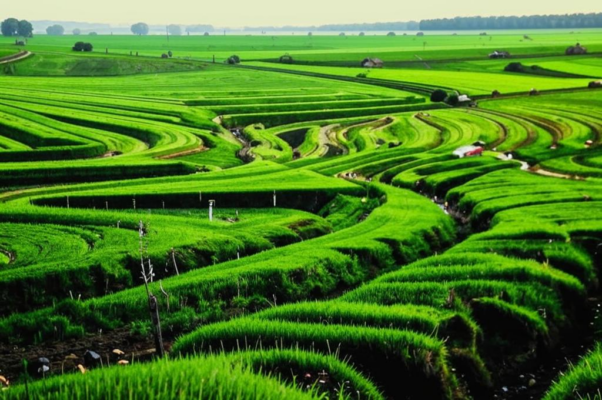 Стихи весны