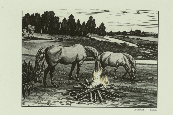 «Привал. Дымяся, огонек...»