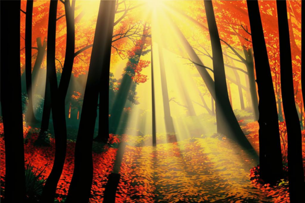 «Смотри, всё ближе с двух сторон...»