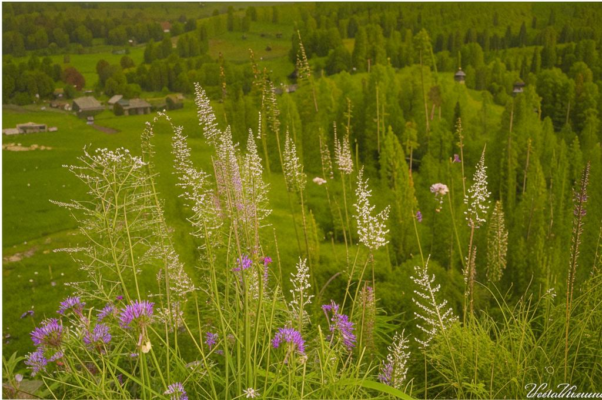 Пантелей-целитель