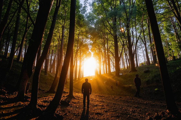 Прости («Ты помнишь ли вечер, когда мы с тобо…»)