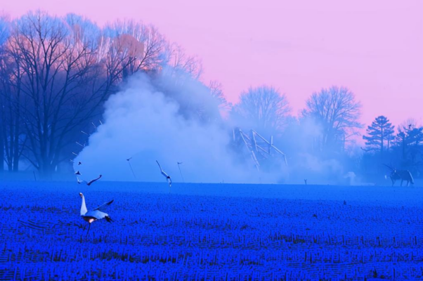 «Вот уж снег последний в поле тает...»