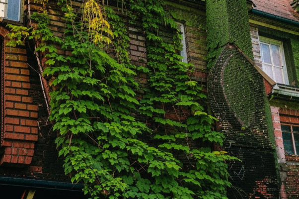 «Обычной полная печали...»