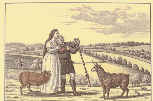 Пастушок довольный