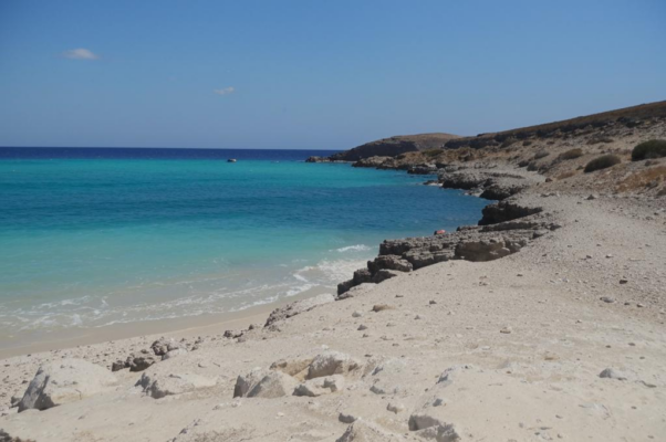 «Выди, Тирсис, отсюду, пора любовь кинуть... »