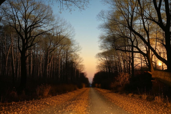 «Осенний вечер... Небо ясно...»