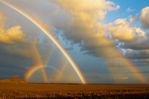 «Посмотри: над присмиревшей степью...»