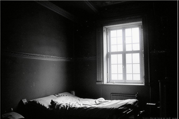 «Здесь только призрак мой живет...»