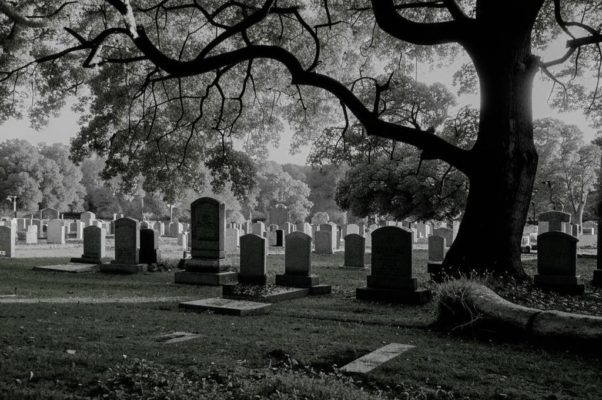 «Потерявши все, ты станешь чище...»