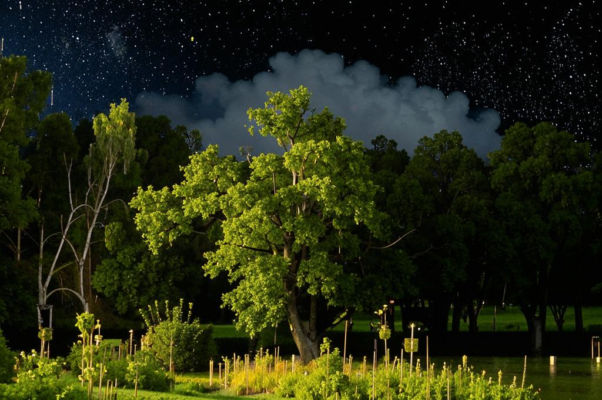 Гроза промчалась