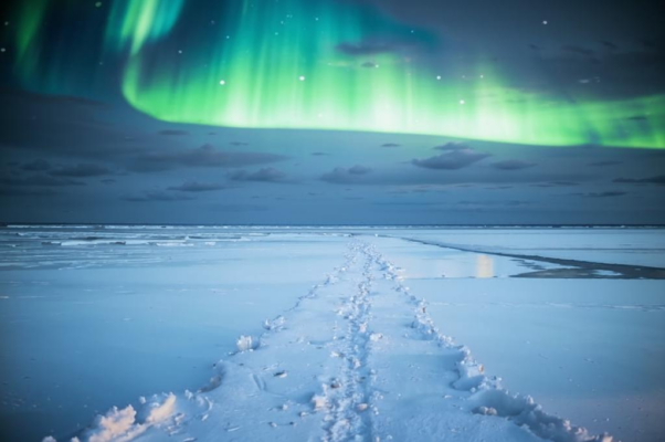 «Мне приснилось побережье...»