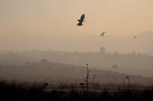 «Вечер мглистый и ненастный...»