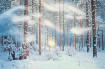 «Чародейкою Зимою...»