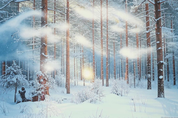 «Чародейкою Зимою...»