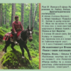 Постриг