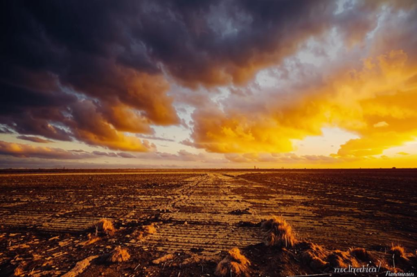 «Здесь, где так вяло свод небесный...»
