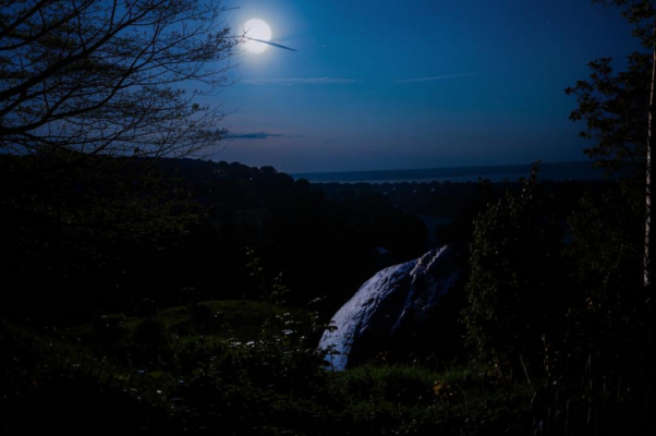 Одиночество (Из Ламартина)