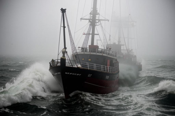 «Корабль в густом сыром тумане...»