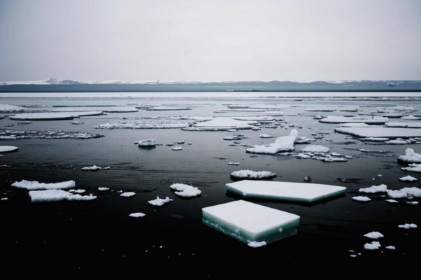 «Смотри, как на речном просторе...»
