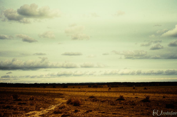 «Через ливонские я проезжал поля...»