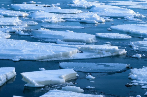 «Смотри, как на речном просторе...»